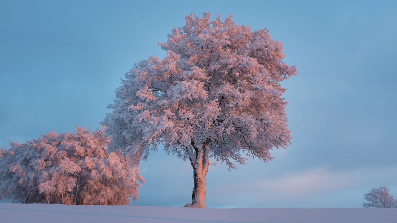 厄德高|10年HR告诉你，这个面试问题这么答！