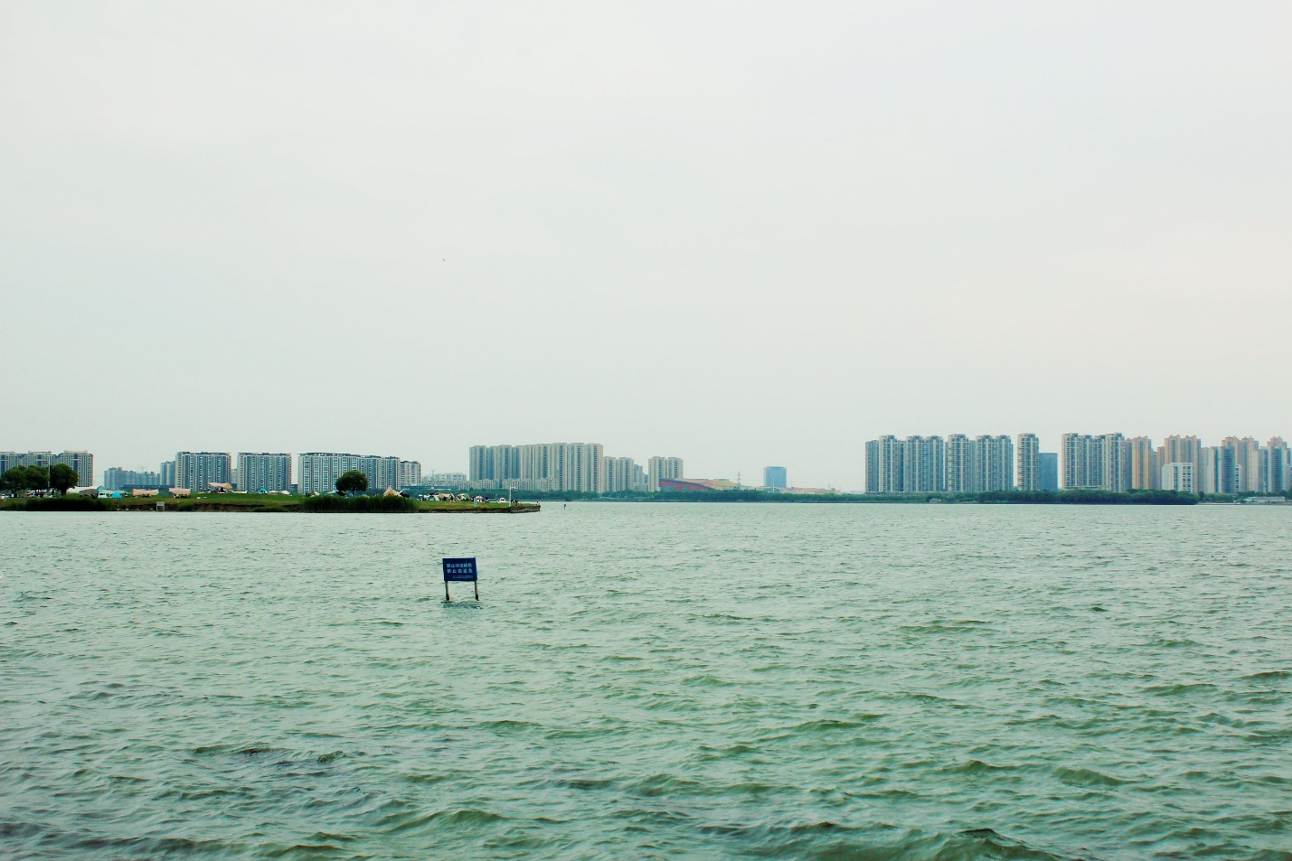 浅谈SAP顾问未来十年在中国的发展前景