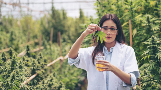 生命科学是怎样的?