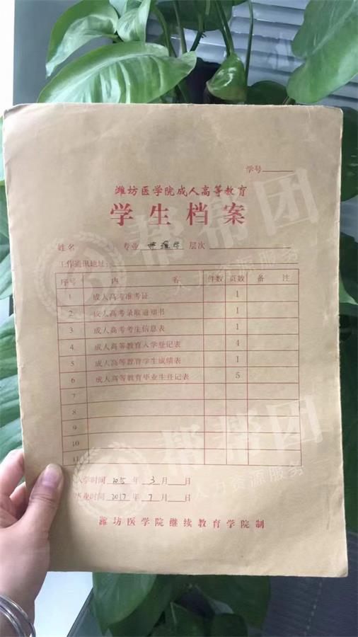 档案变成死档怎么激活