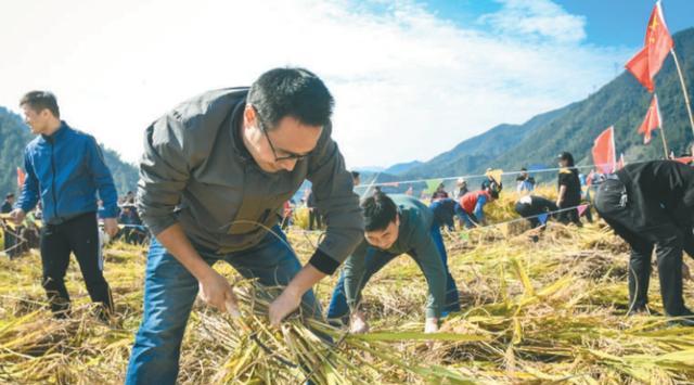 |89年生的高颜值副县长火了，有着非常优秀的履历，但网友却冷嘲