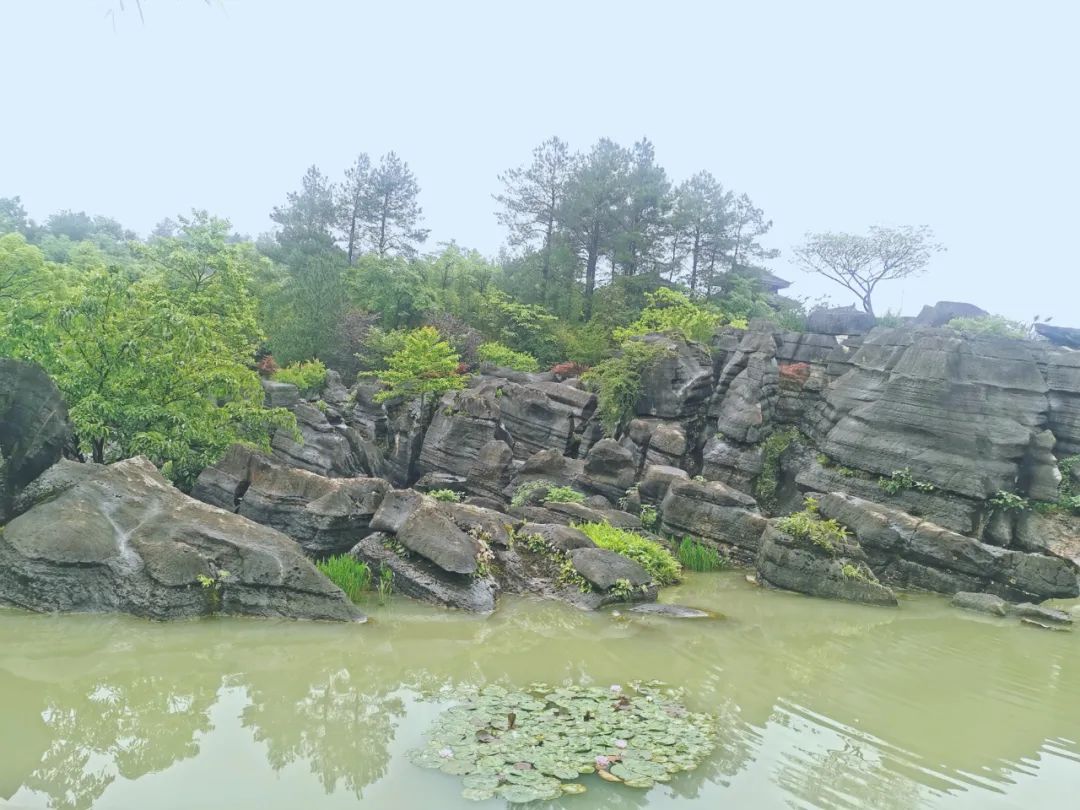 |旅游资源平平的万盛，却逆袭成为康养圣地！