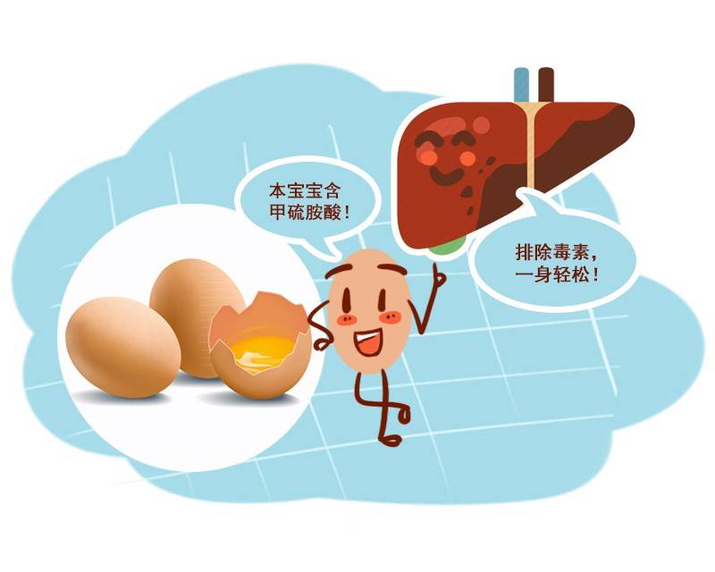 肝脏|鸡蛋竟可以修复肝脏？提醒：这4种食物也对肝脏有益，可以常吃!