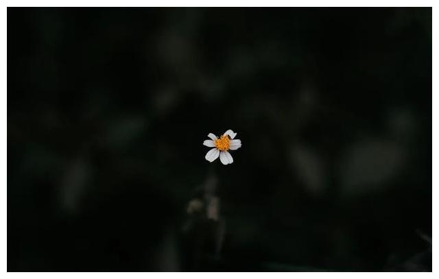 月亮|《额尔古纳河右岸》②：每个人心中，都有一颗向往山川湖海的心