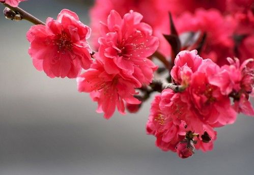 生肖|哪几个生肖,成长迅速,职场菜鸟变干练大神,前途光明