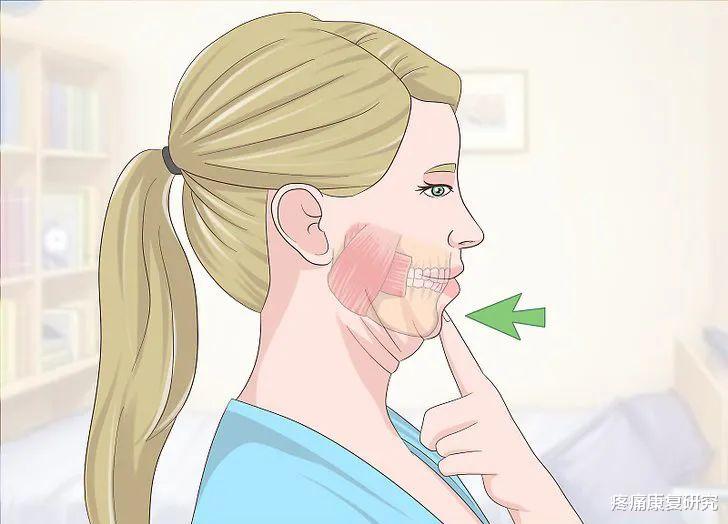运动|通过下颌活动来缓解颞下颌关节紊乱