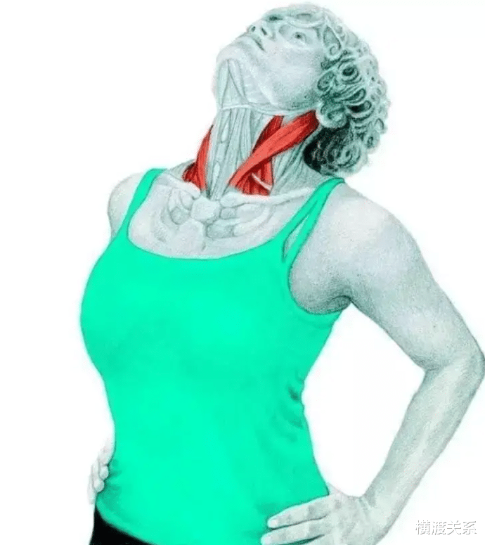 刘亦菲|刘亦菲陈晓“埋颈吻”封神,可这颈纹却让人下头