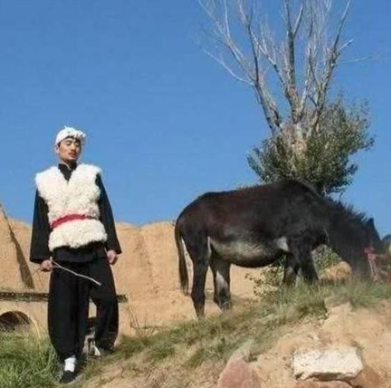 星光大道|5位《星光大道》冠军，从阿宝到玖月传奇，从爆红到“消失”