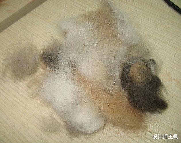 用过无数家居清洁“好物”,仅这4个“常驻家中”!建议备齐