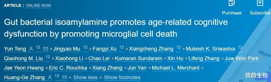 记性差和肠道细菌有什么关系?科学家发现逆转记忆衰退的新方法