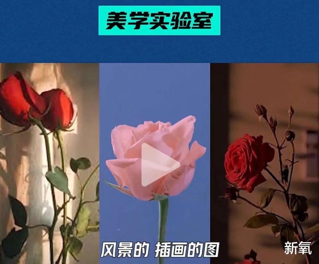 韩素希|韩素希本人在拍照这块确实有一套