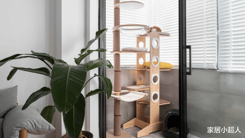 小户型也能有超强的空间布局,猫主子还有大别墅,角落都用到极致