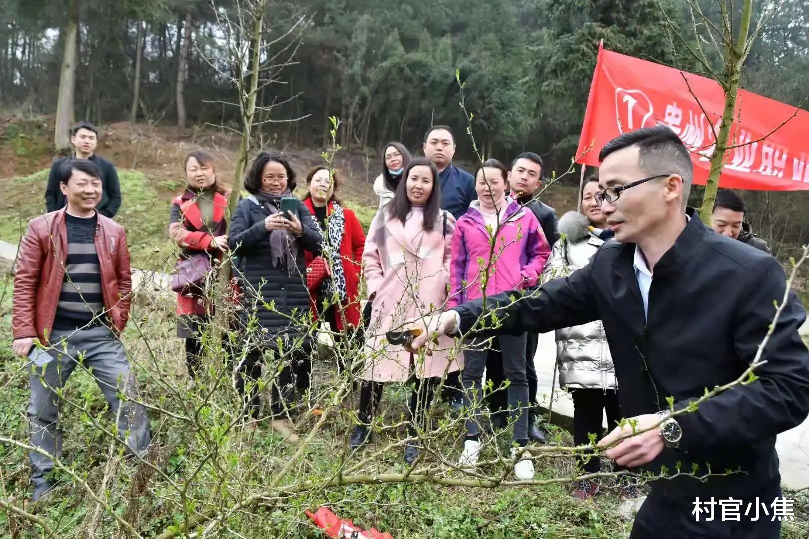 招聘|农村一新职业火了，年收入超20万，农民有盼头了，多地正招聘！