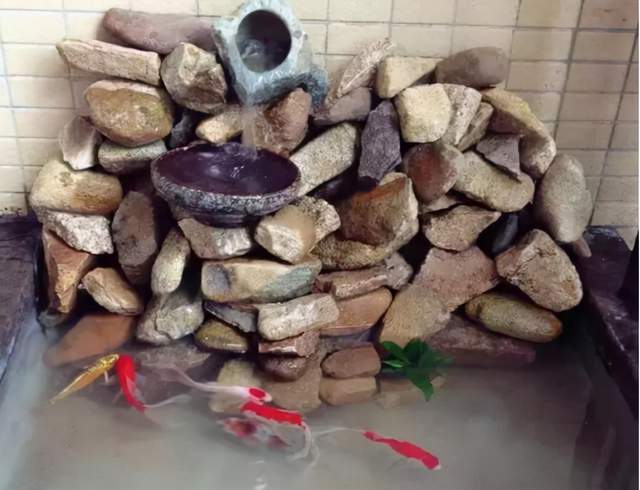 太有才了!朋友在自家阳台砌了一个金鱼池,确实很漂亮