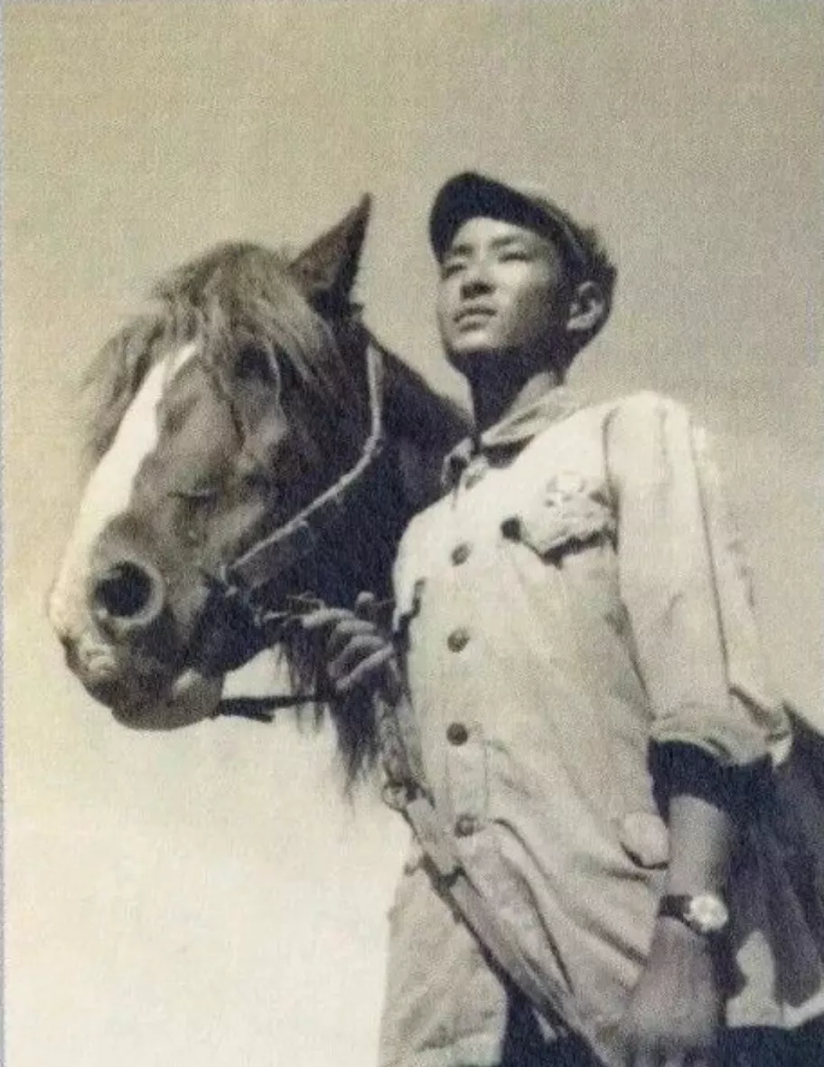 濮存昕|迷倒许晴，让陶红倾心，一代“大众情人”竟消失多年，他到底去哪儿了？