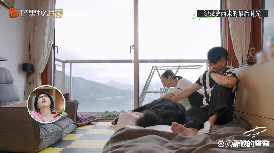 艾威|《再见爱人2》三对嘉宾，有人住豪宅有人戴名表，一个比一个壕