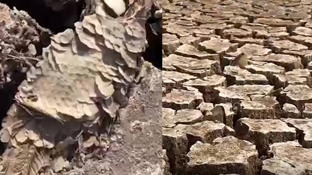 |南方干旱，大量鱼儿被晒成鱼干，钓鱼人痛心疾首，却无能为力