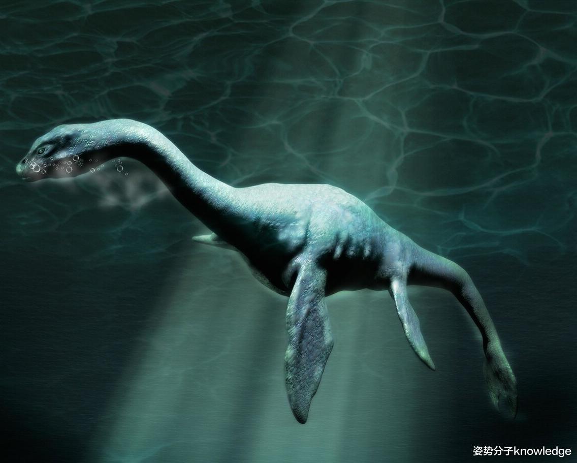 喀纳斯湖再现“水怪”!真的有巨型生物存在吗?专家如何解释?