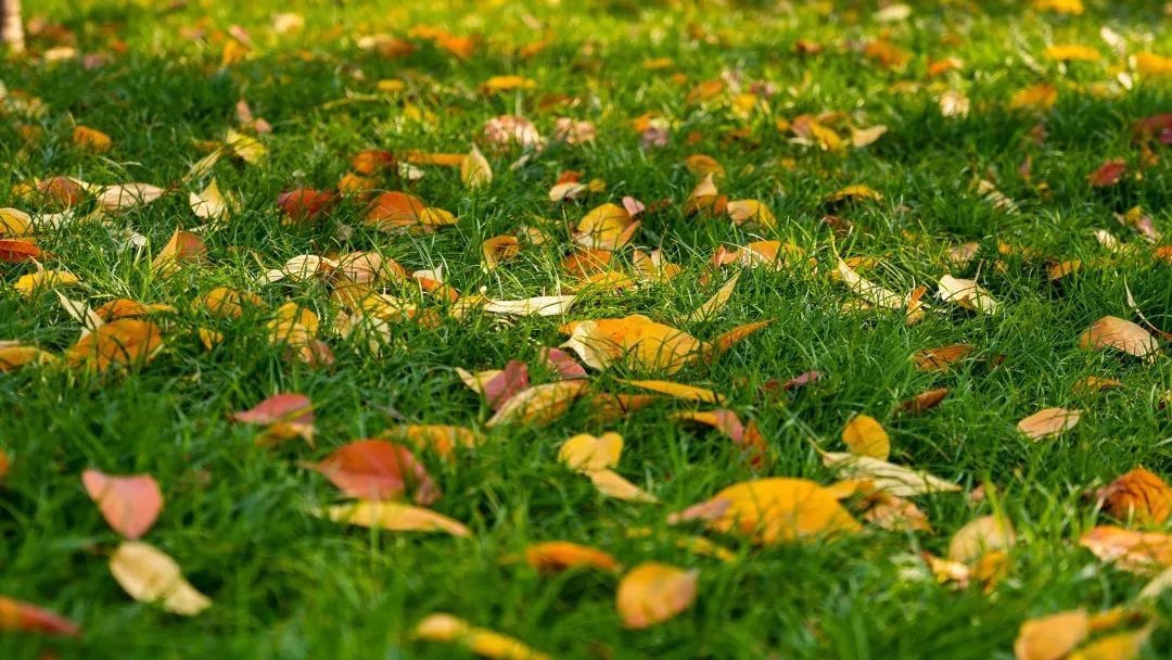 云南|二十四节气小雪感受西安古城墙之美景