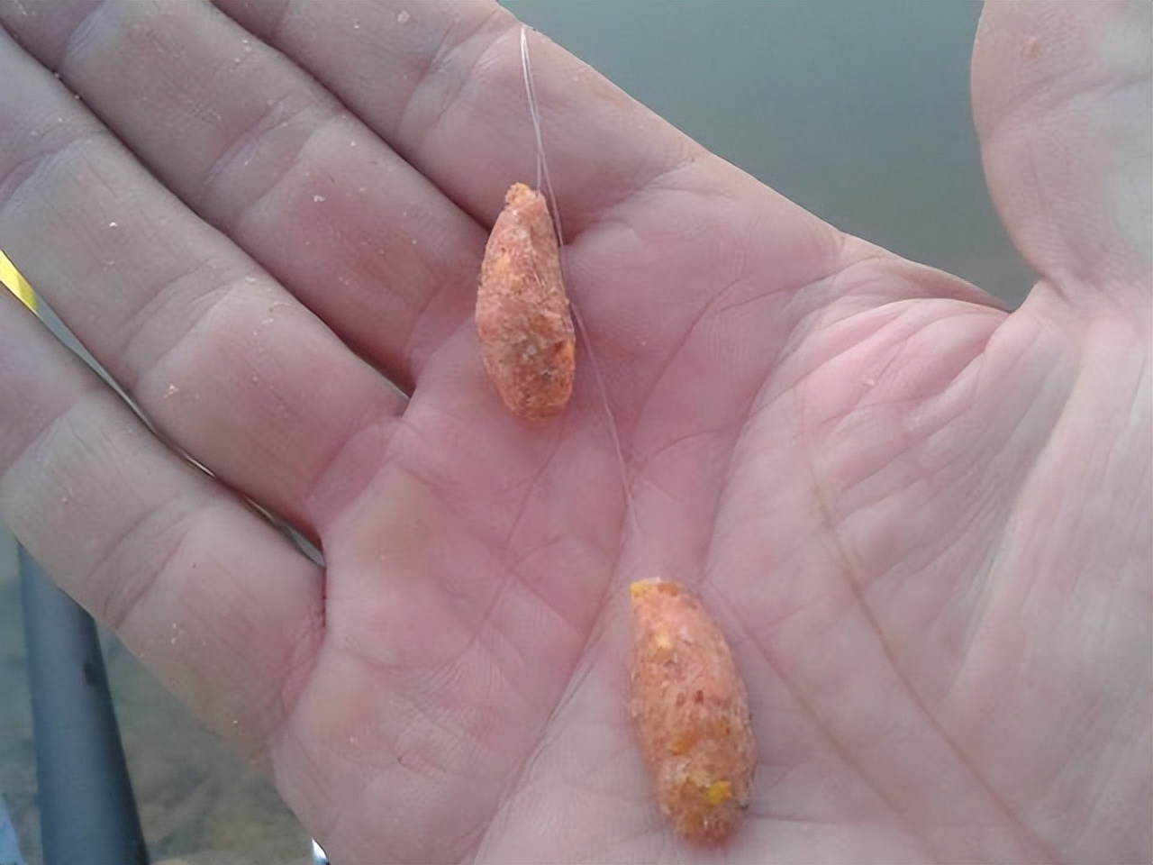 |台钓中常犯的6个错误，一些老手也不能幸免，看看你中了几个