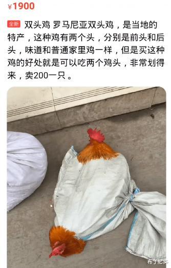 伊隆·马斯克|有人在闲鱼卖穿过的制服，有人卖语音叫“老公”，还有卖美女陪玩