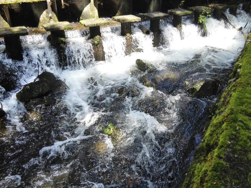 |旅行当中有哪些花费是必要的？哪些花费是没有必要的？