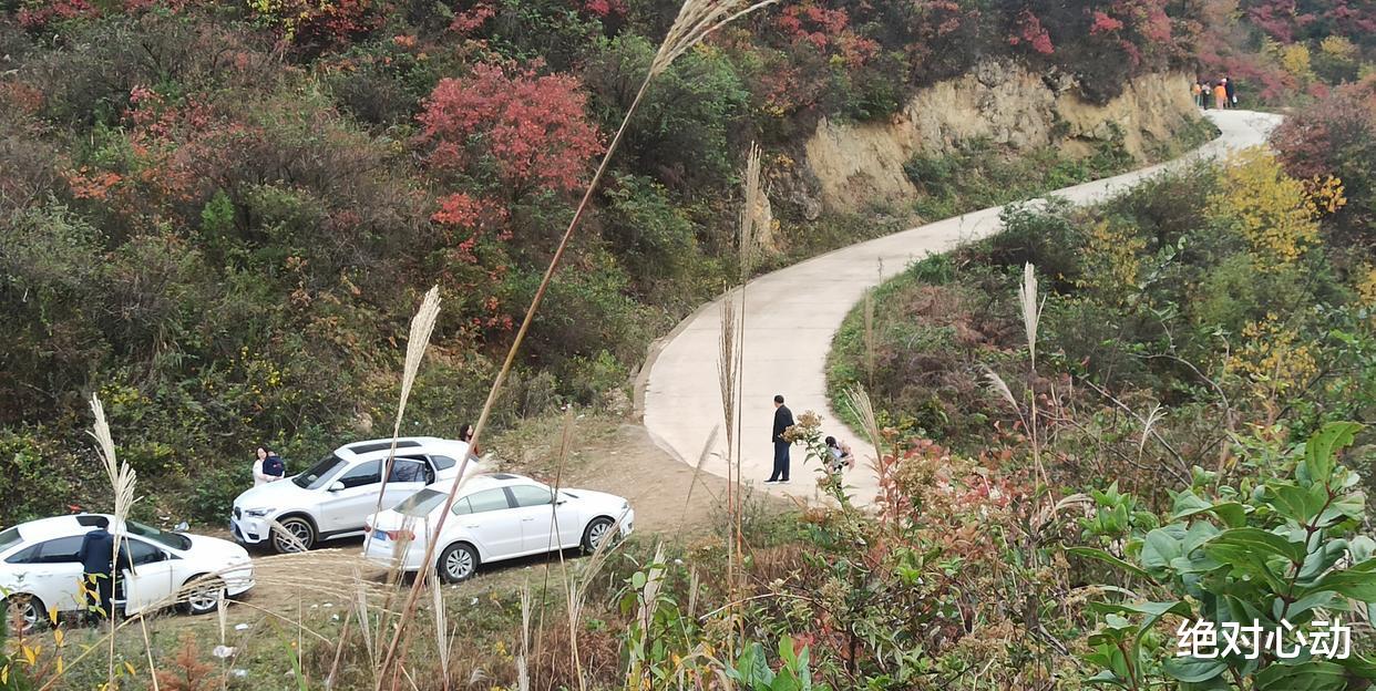 |陕西汉中西乡县湾对坡，一个网红打卡点，红叶满山坡，人满为患