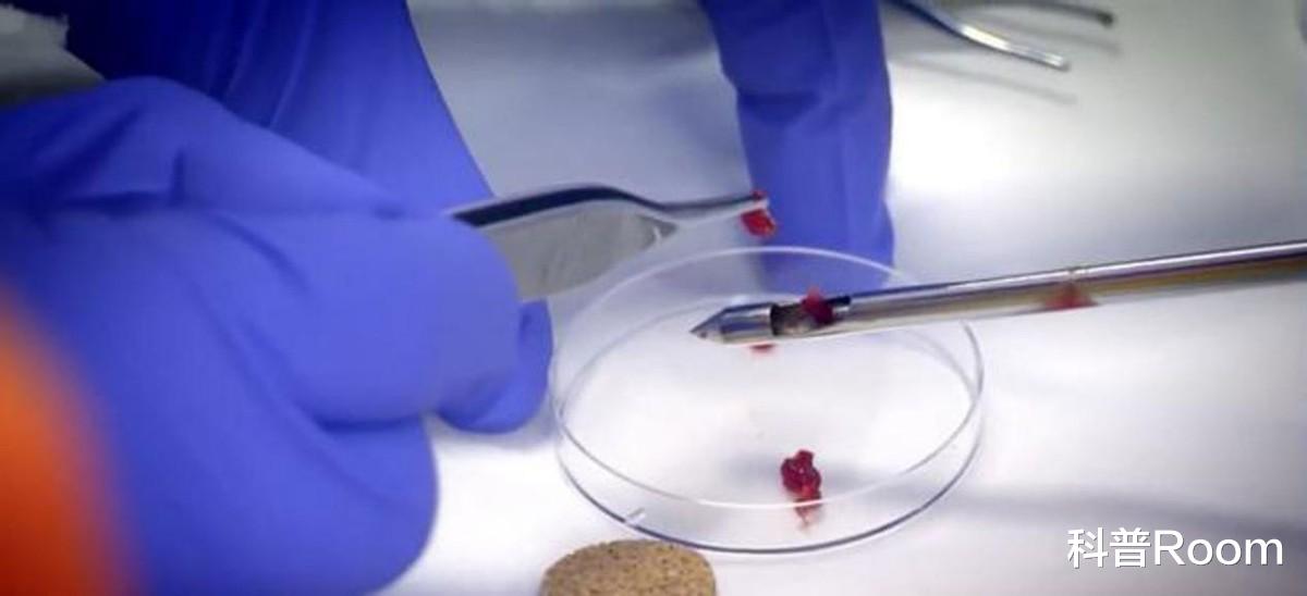 人类为何拒绝同类相食?真的存在天罚吗?生物学家出面告诉你!