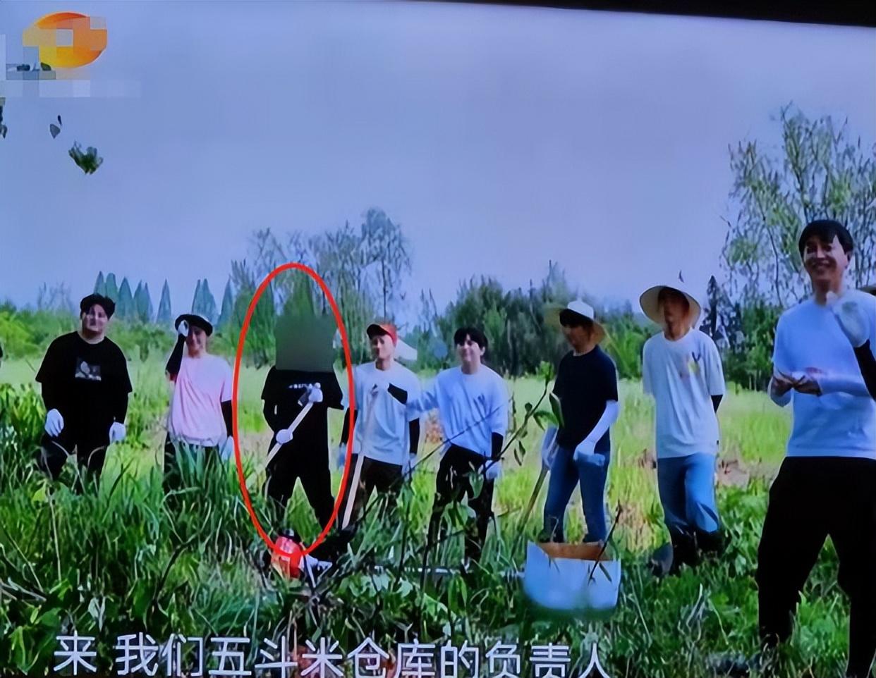 芒果台|曝芒果10月综艺停播!《天天》整改《中餐厅》延期,其原因疑曝光