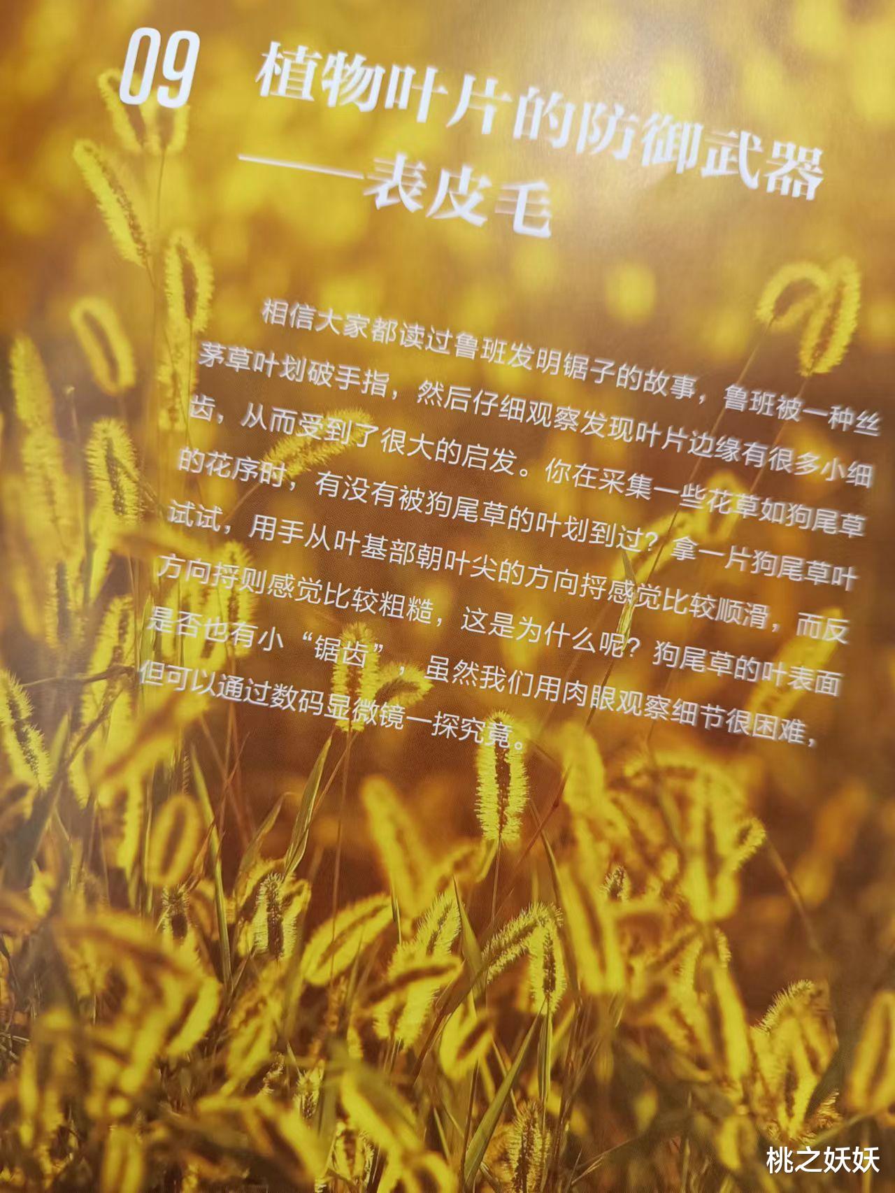 《微观星球》:显微观察图书类NO.1