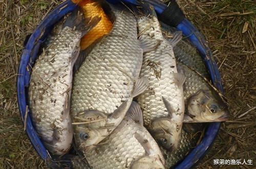 |小雪过后野钓难度升级,记住这五钓五不钓,天气再冷也能连竿上鱼