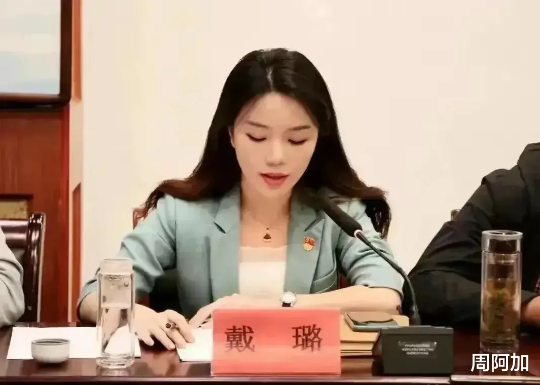 美女戴副局长究竟做了什么,26岁就当上副局长!