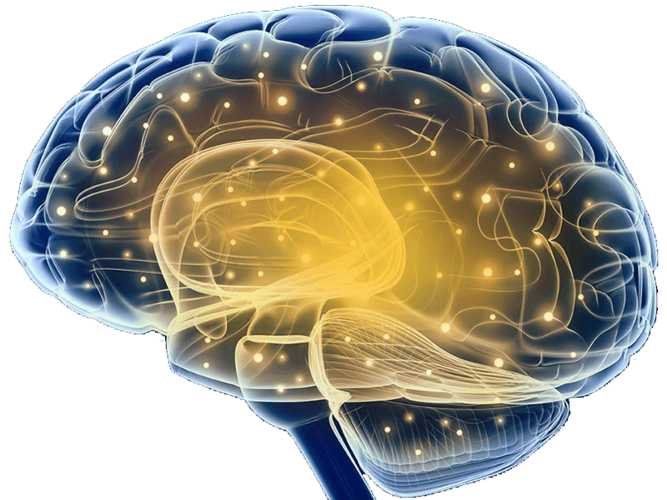 科学家:人脑比最快的超级计算机还要强大