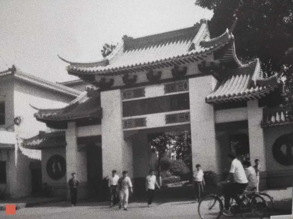 张颂文|成名之前的张颂文:我要加戏