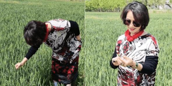 |央视原主播徐俐晒近照，现身田间玩耍，一身长裙超有气质