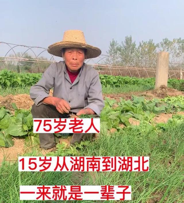 老人被卖到湖北65年,家人曾找上门:劝她安心留下,起码有饭吃