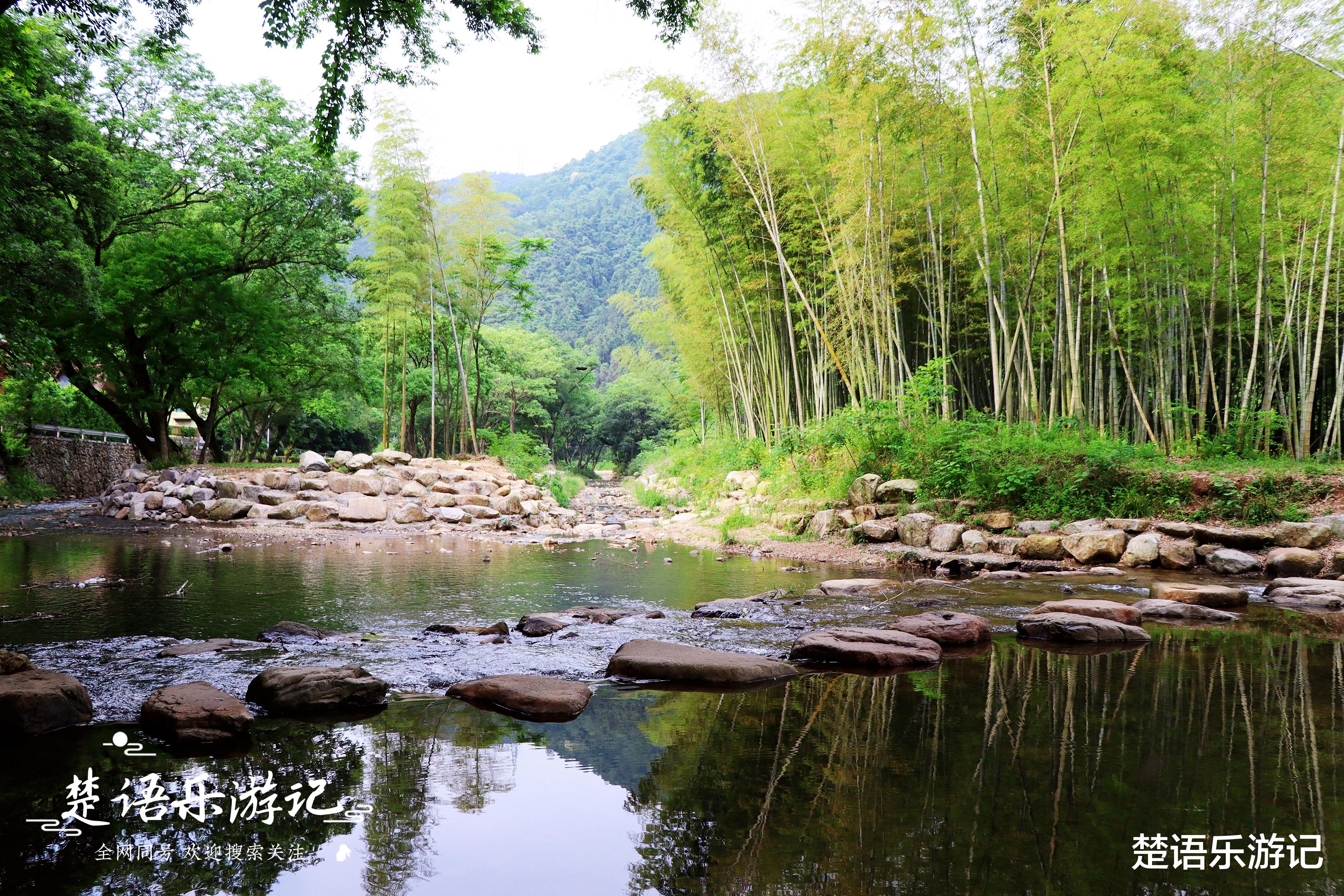 镇江|宁波北仑最美丽的玩水风景线，古树掩映溪清境幽，是休闲的绝佳地