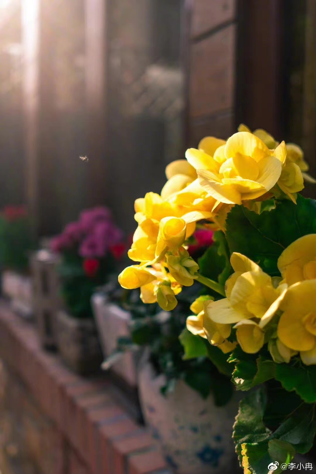 李小冉|看了李小冉8.5亿的豪宅,才明白为什么有1300万人羡慕她的生活