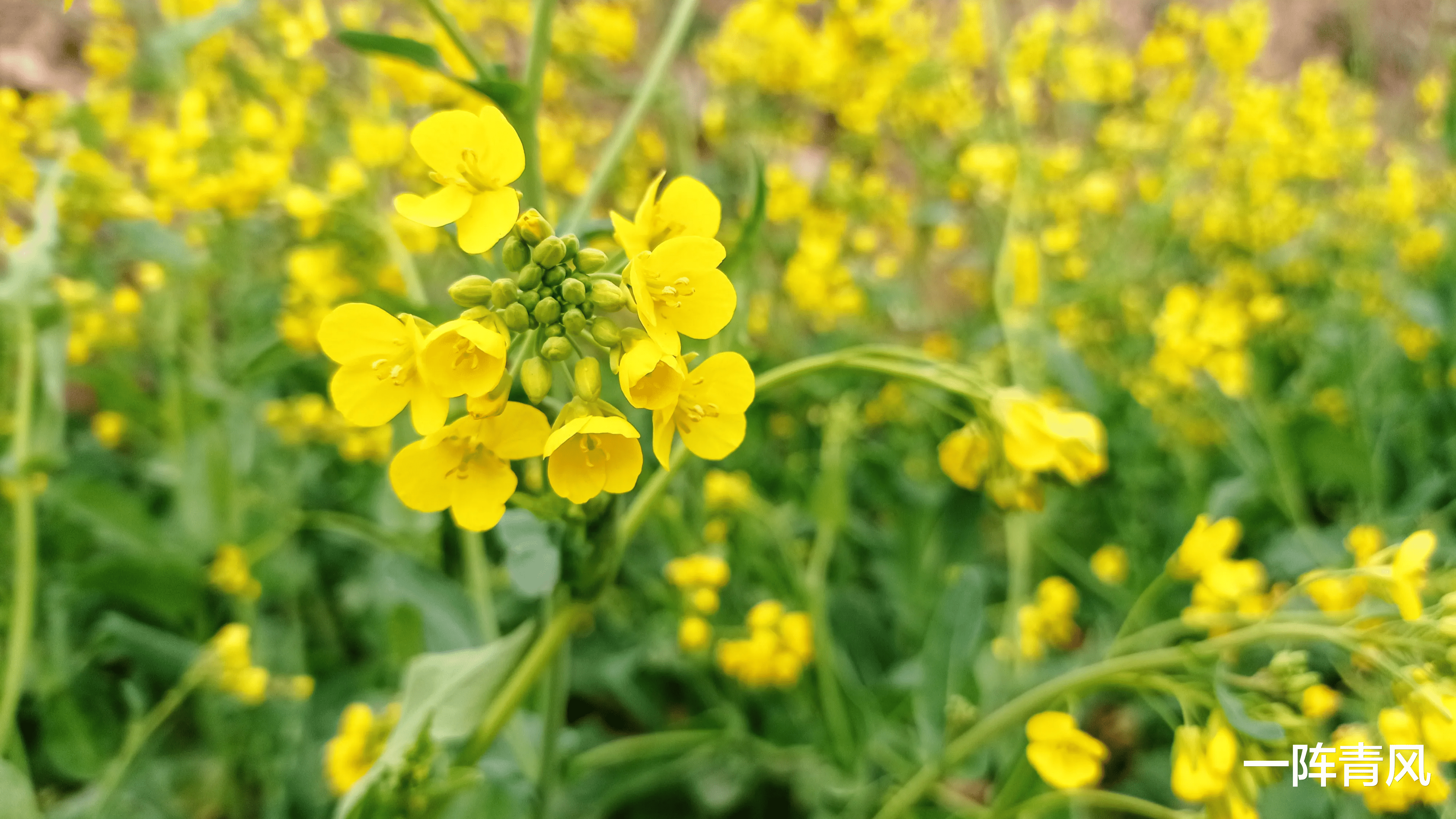 |领导逼你辞职的几种方式，早知道早提防