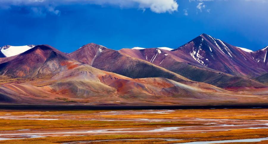 高原|穿越高海拔无人区时，为何夜黑风高，却不可野外“烧柴火”取暖？