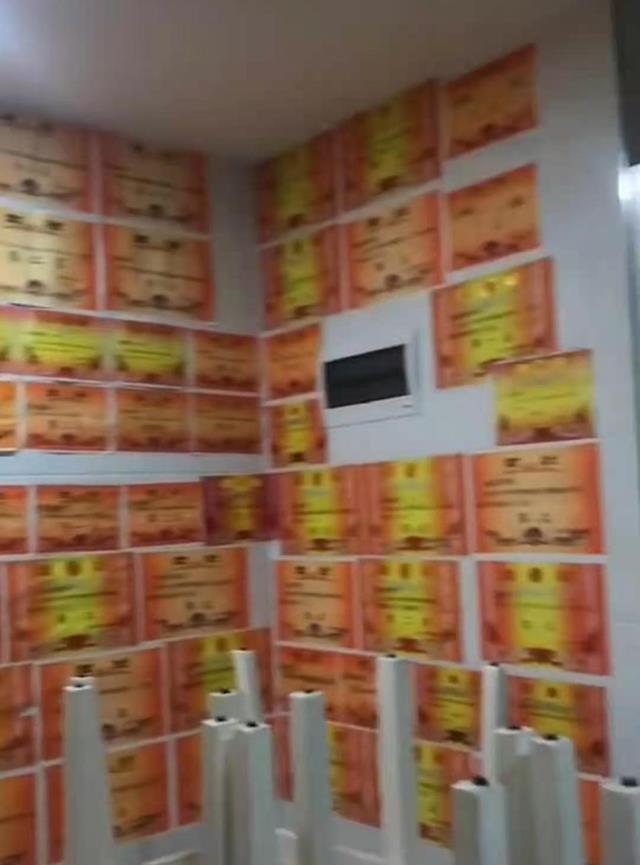 儿子9年得270张奖状,家中3面墙壁贴不下