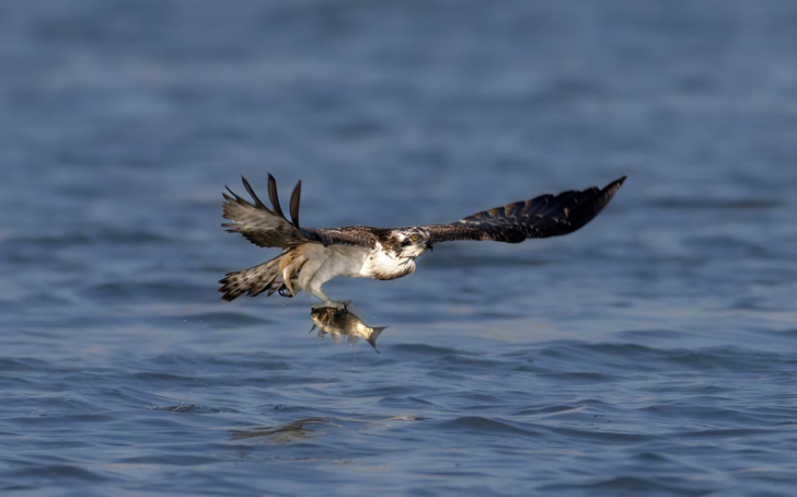 摄影师专访 | 王伟:玩摄影,要保持一颗平常心