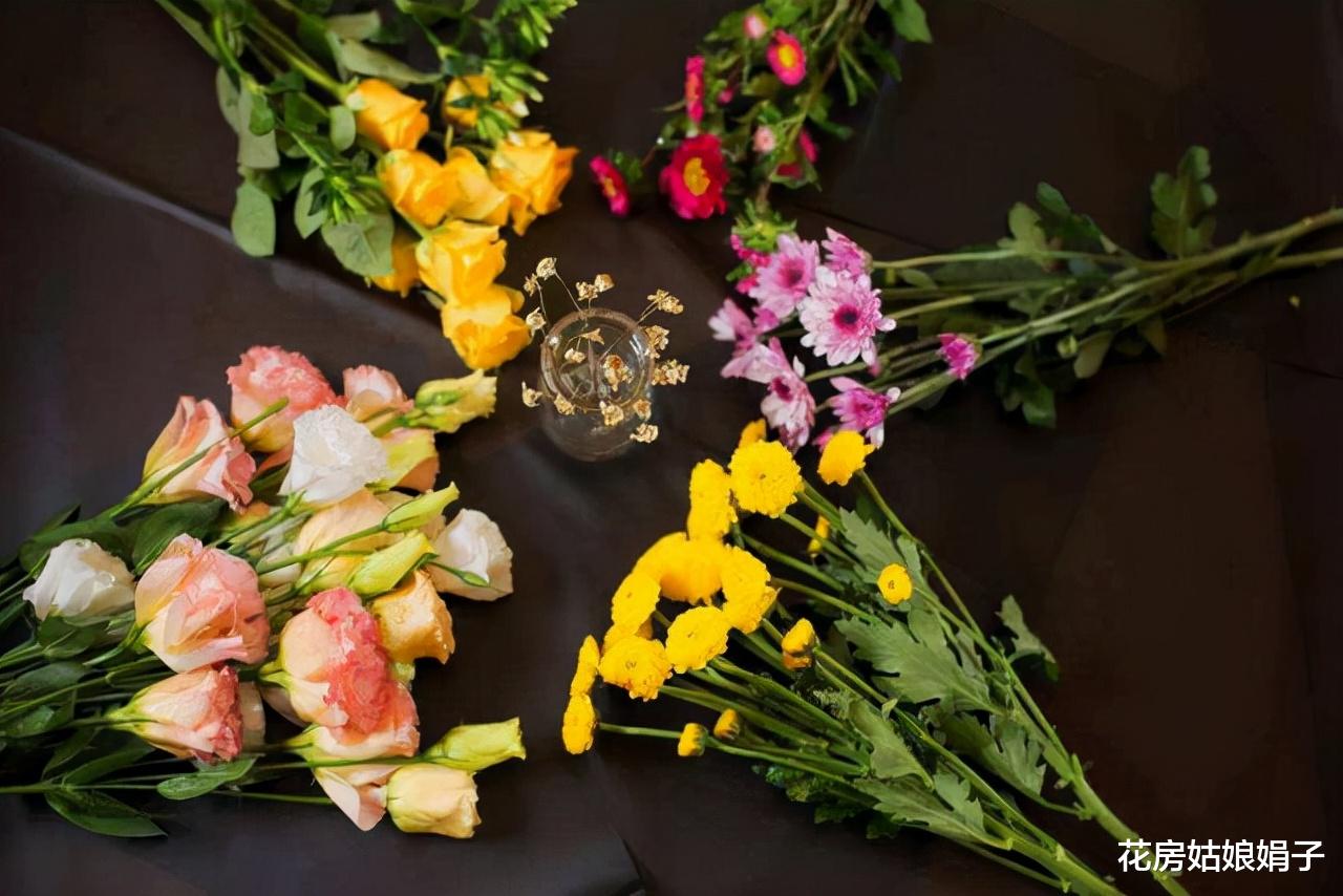 卧室养花选这6个品种,能净化空气,怡人的花香还有助于改善睡眠