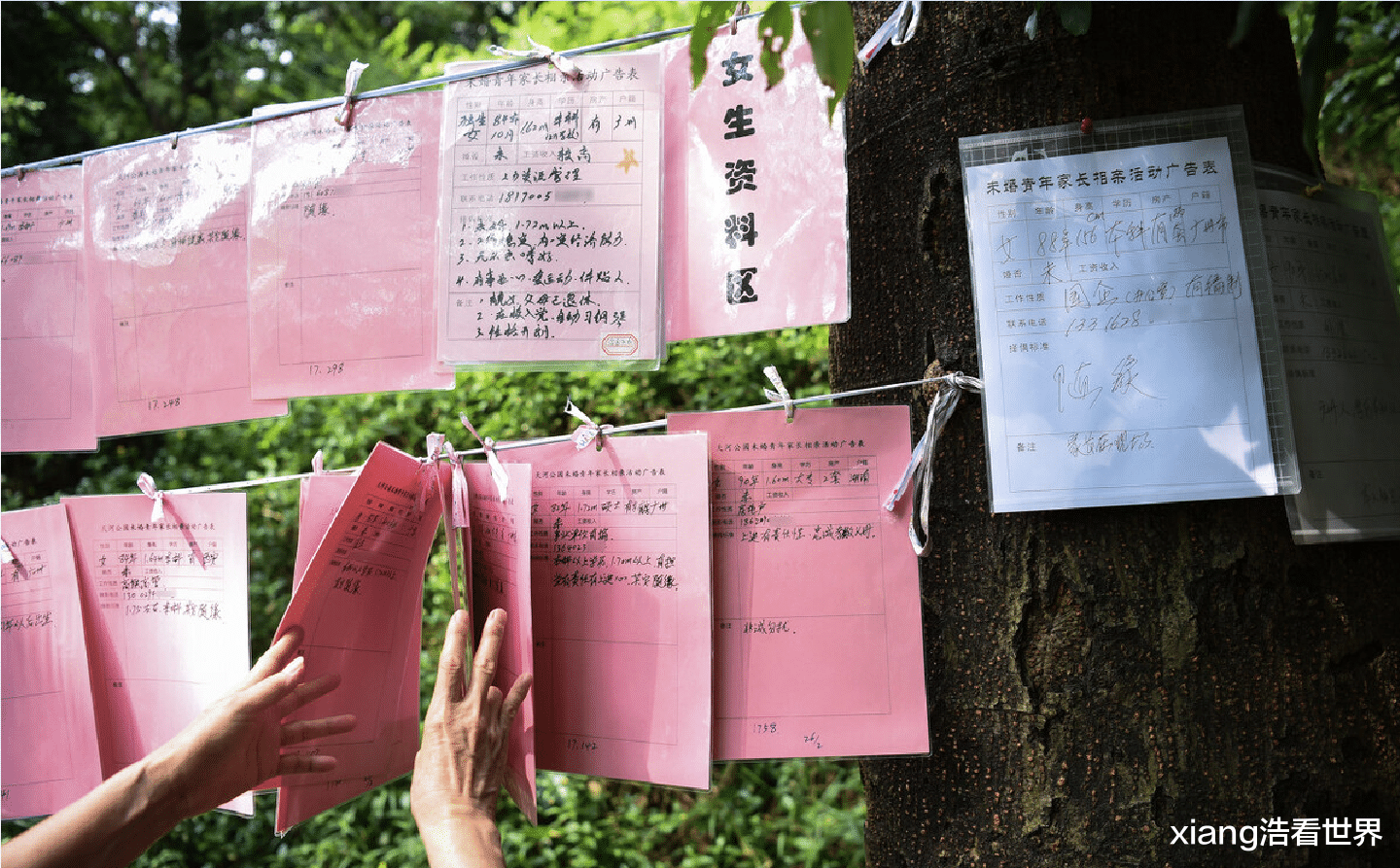 广州市|广州市中心有个相亲角,优质对象,女性比例极高,父母:操心