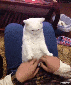 95后|“女朋友出差了，说了上海出差，还给我发来了一张这样的照片”哈哈哈！