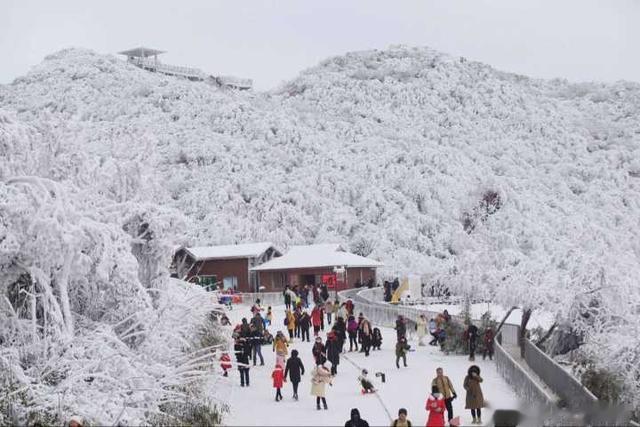 金佛山|带你走进重庆南川金佛山冰雪童话世界里