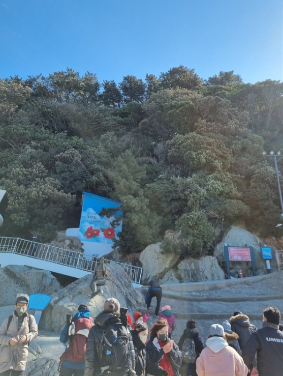 雅安|春日的开始与山茶花一起散步的岛屿——知心岛