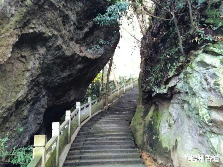 郑州|浙江最奇特的一座山，被誉为“空中花园”的地方，你去过吗？