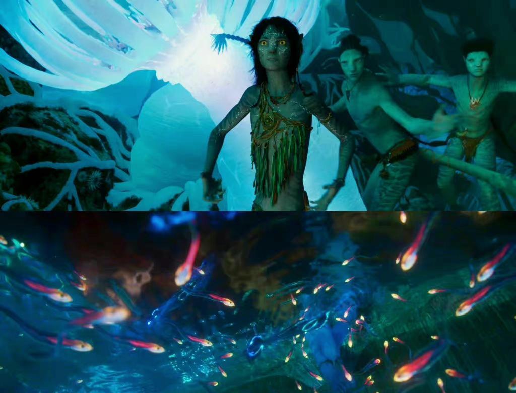 阿凡达2水之道|好莱坞大片《阿凡达2水之道》明确引进，贺岁上映票房有望破100亿