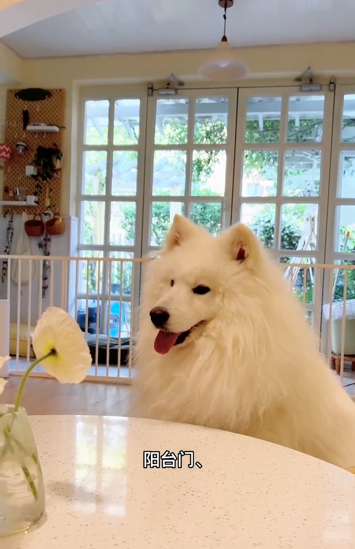 客厅|住不起大别墅,买栋一楼带花园的小洋房,也是个不错的选择